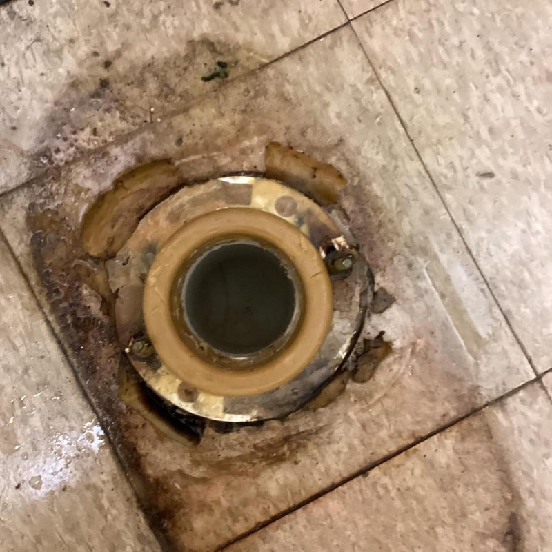 Toilet flange with wax ring removed from floor drain