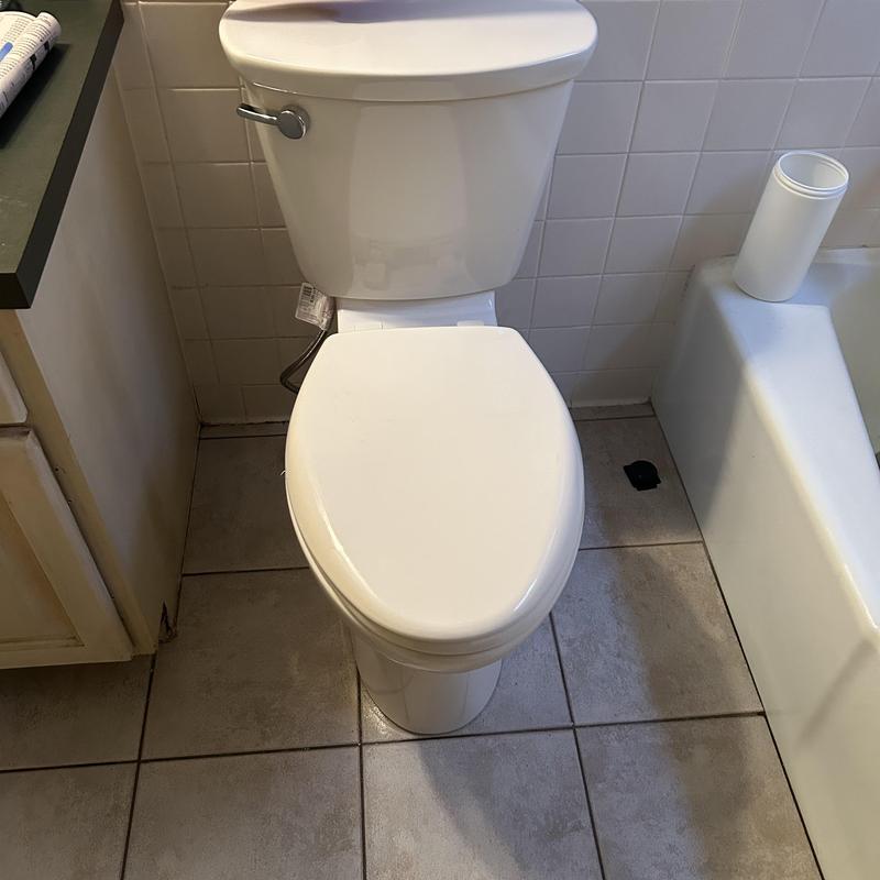 Comfort height toilet installation in bathroom Comfort height toilet installation in bathroom