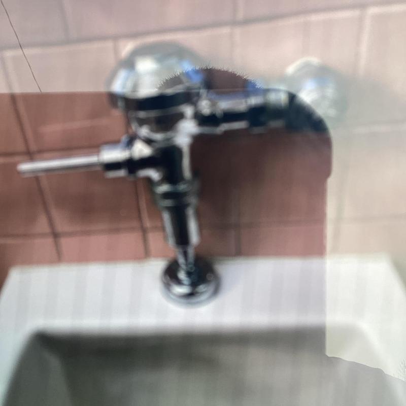 Flush valve on commercial toilet fixture close-up