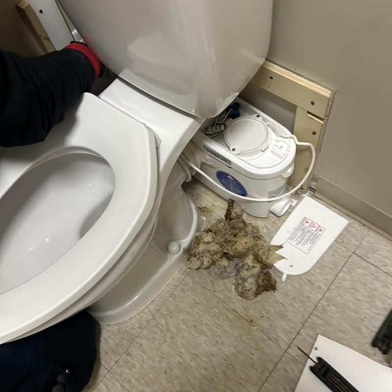 Toilet macerator pump with blockage and debris removal