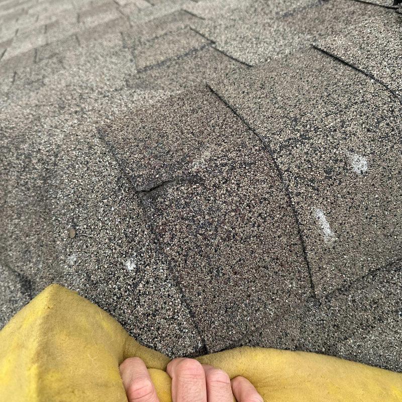 Asphalt roof shingles with visible hail damage