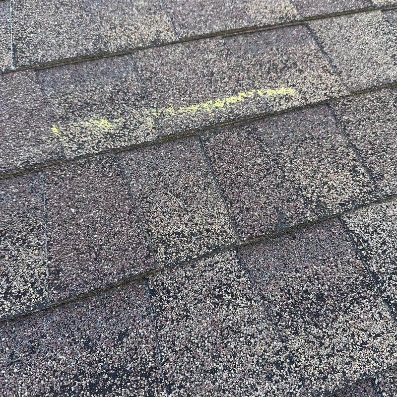 Asphalt shingles with marked hail damage inspection