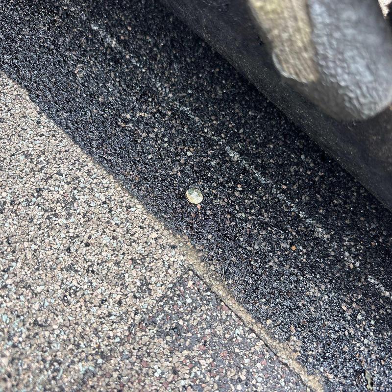 Asphalt shingle roof with hail damage and nail head