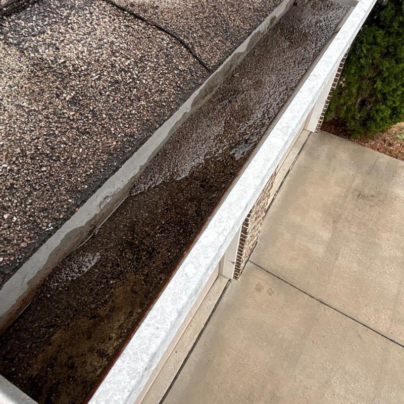 Asphalt shingle roof and gutter with debris buildup