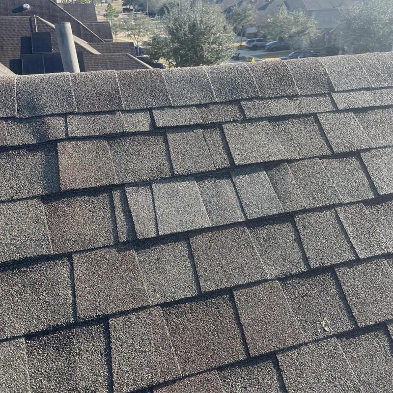 Composition roof shingles with lifted and damaged sections