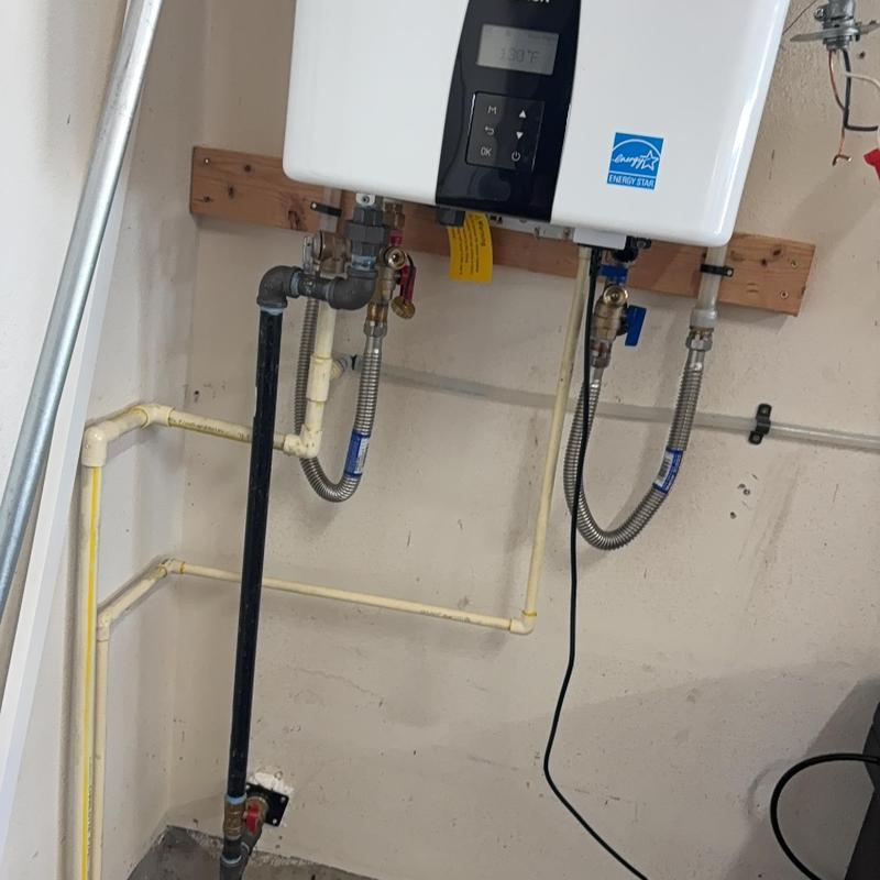 Tankless water heater flush and inspection valves