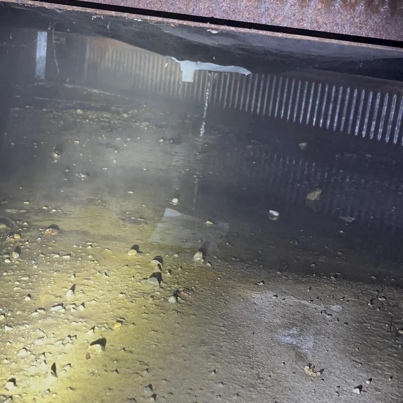 Crawl space water drainage with debris buildup