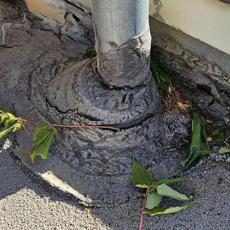 Flat roof pipe flashing with cracked sealant and leaves Flat roof pipe flashing with cracked sealant and leaves