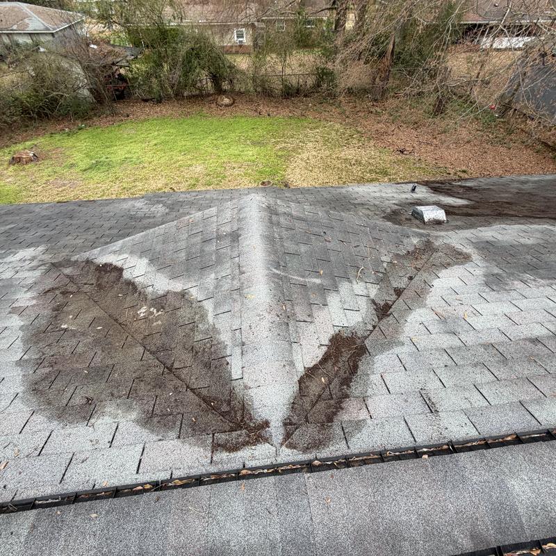 Asphalt shingle roof valley with debris buildup