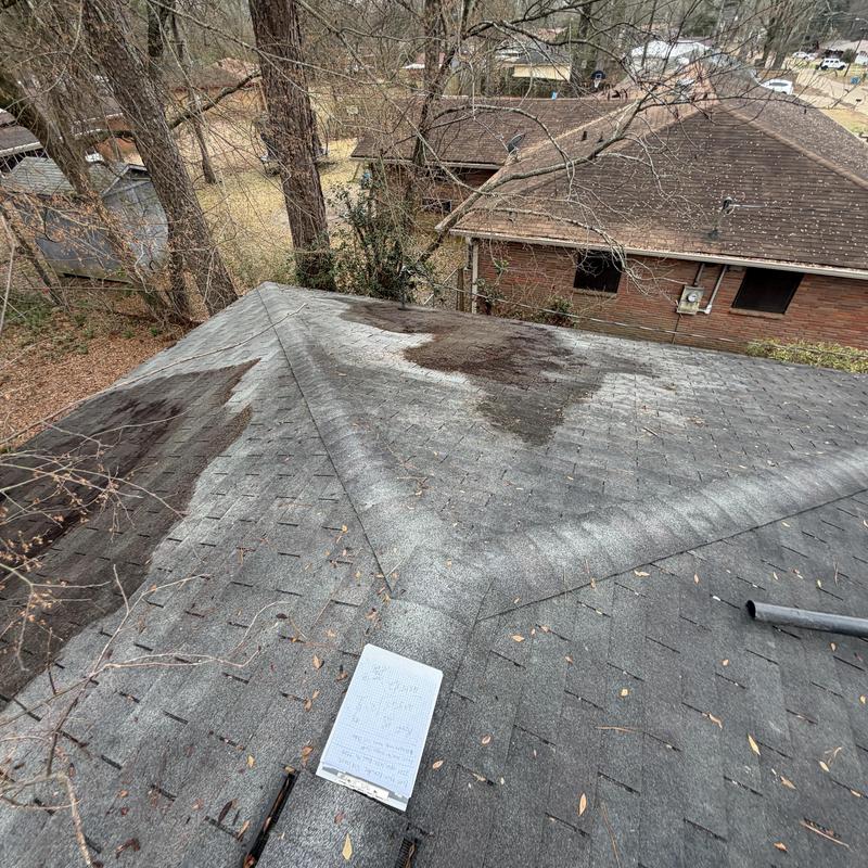 Asphalt shingle roof with dark stains during inspection