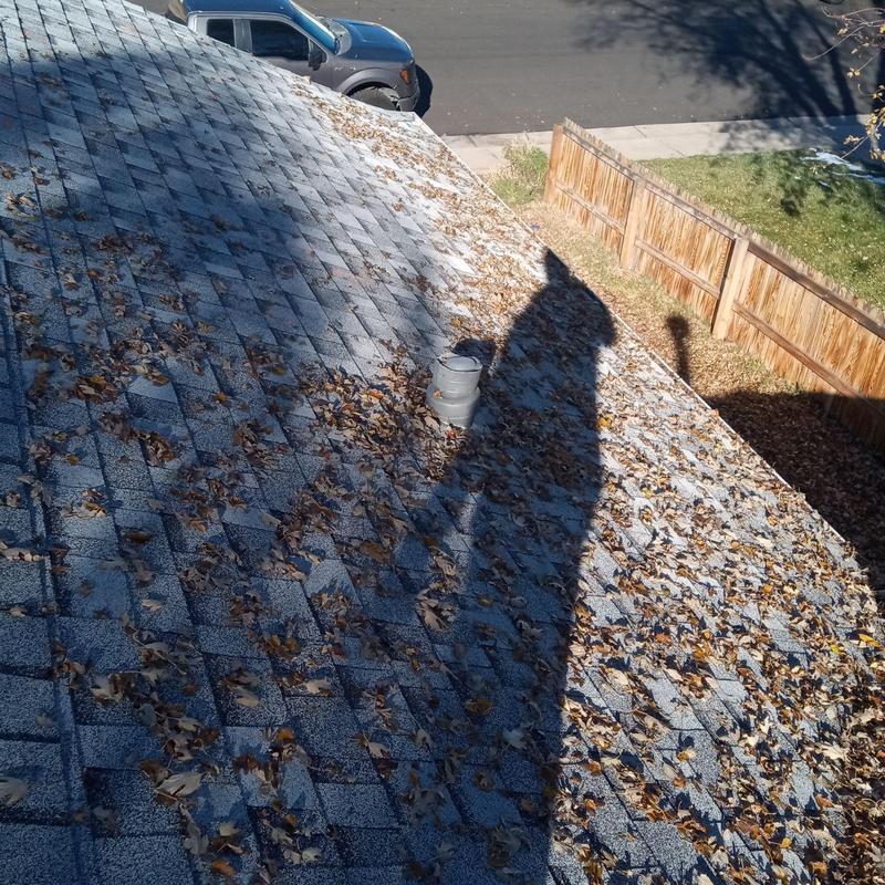 Asphalt shingle roof with hail damage and fallen leaves Asphalt shingle roof with hail damage and fallen leaves