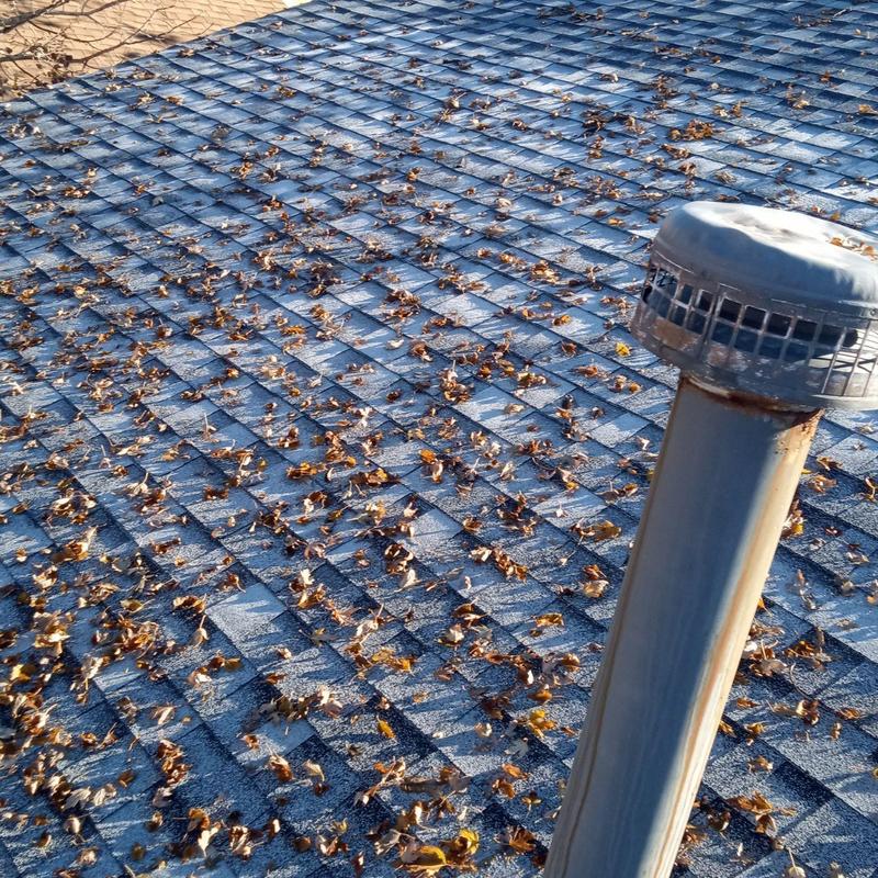 Shingle roof with debris and vent pipe rust Shingle roof with debris and vent pipe rust