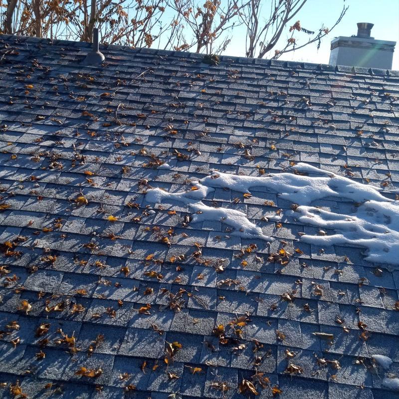 Asphalt shingle roof with frost and scattered leaves Asphalt shingle roof with frost and scattered leaves