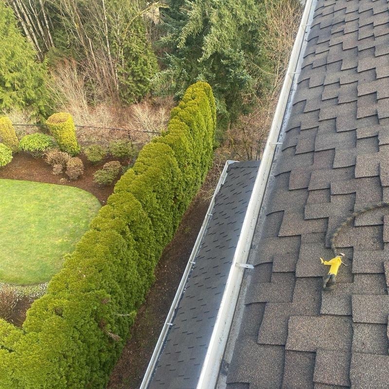 Asphalt roof shingles with gutter cleaning in progress
