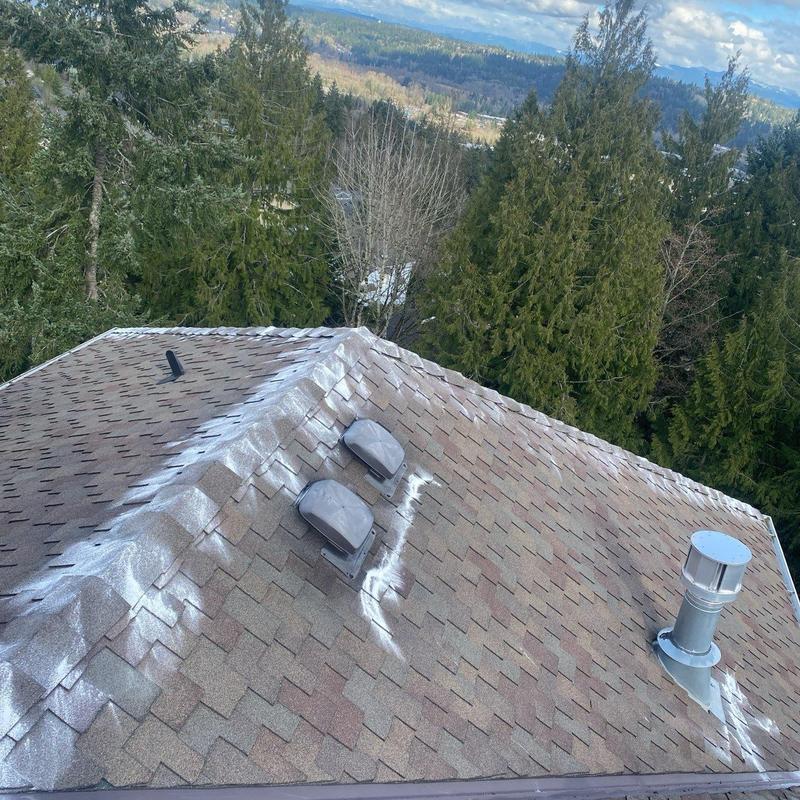 Asphalt shingle roof with ventilation cleaning in Issaquah