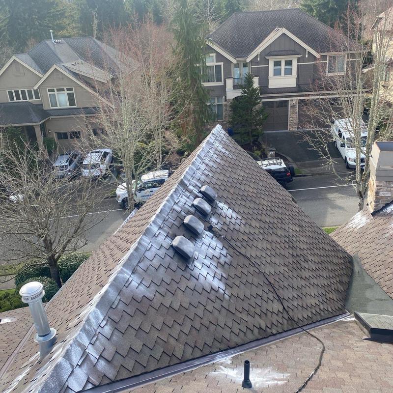 Roof shingles with moss treatment application in Issaquah