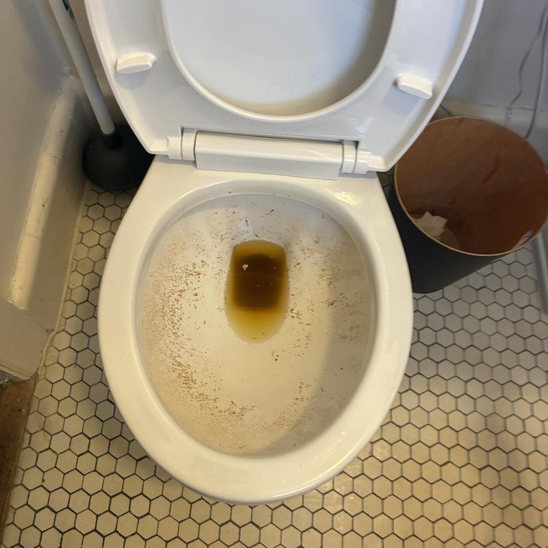 Toilet bowl with standing water and stains