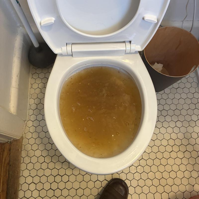 Toilet bowl clog causing water backup before service