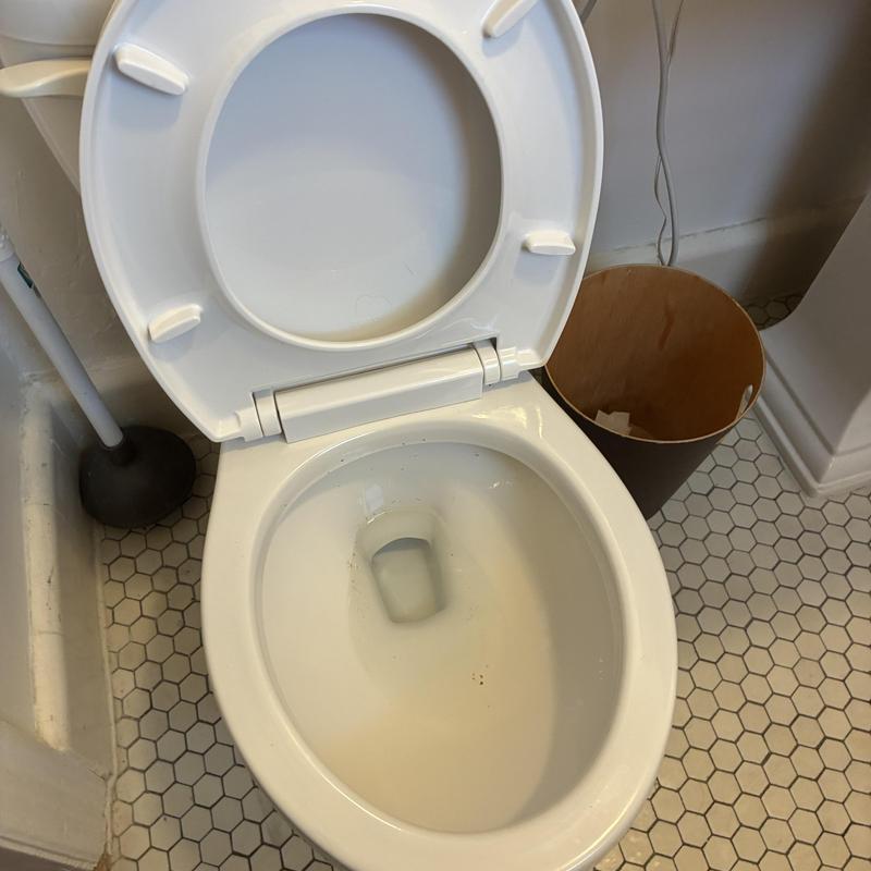 Toilet bowl drain cleared with auger in bathroom