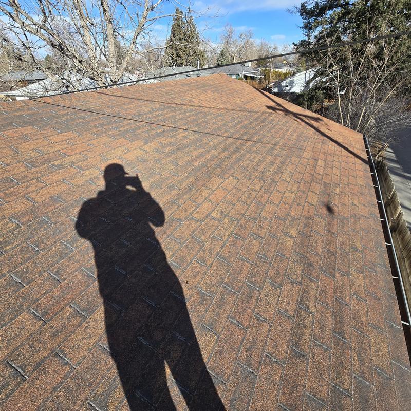 Asphalt shingle roof on detached garage with wear Asphalt shingle roof on detached garage with wear