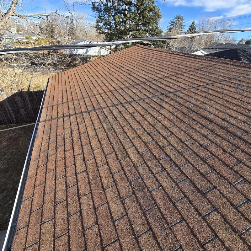 Detached garage roof with worn asphalt shingles Detached garage roof with worn asphalt shingles