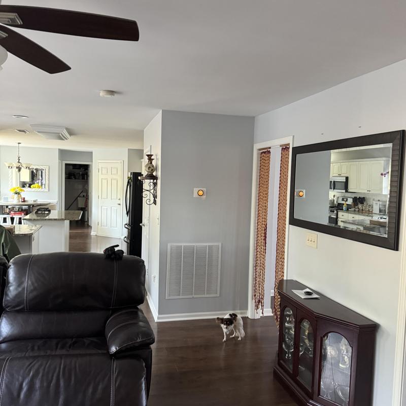 Ceiling repair and paint in residential living room