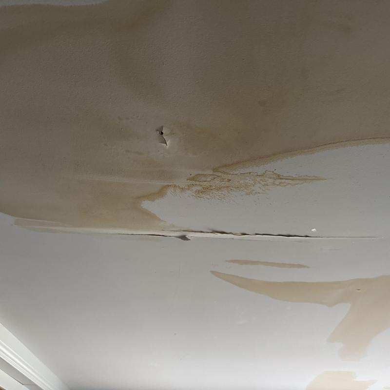 Ceiling drywall with water stains and damage