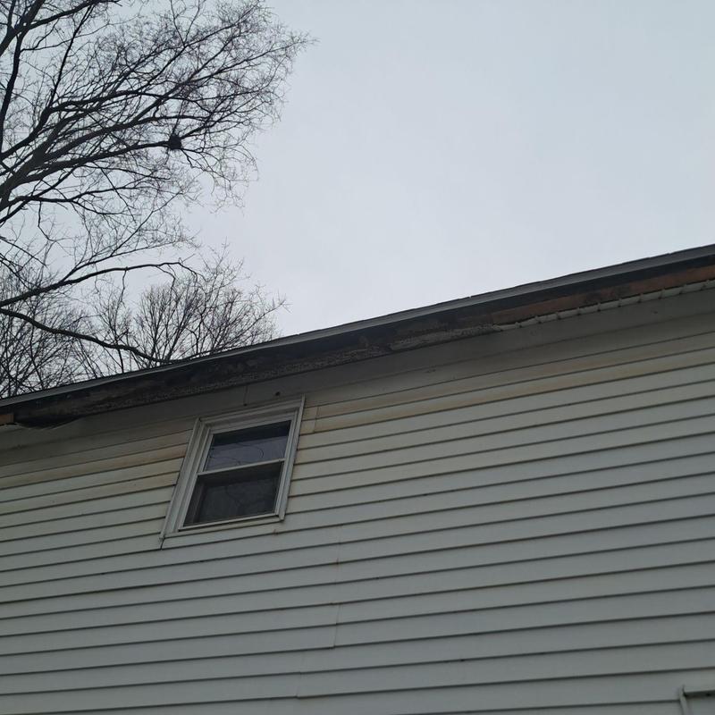 Fascia board damage and temporary roof edge repair Fascia board damage and temporary roof edge repair