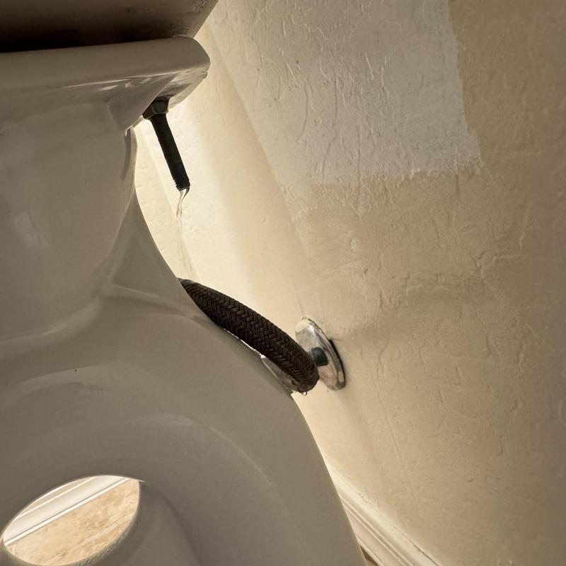 Toilet water supply line and bolt leak repair in Goodyear