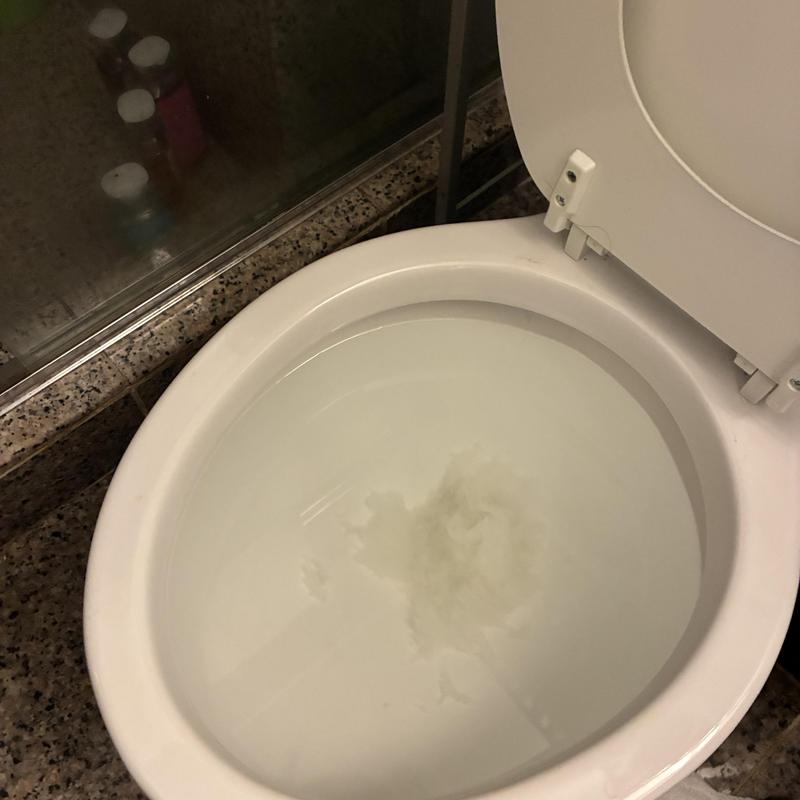 Toilet bowl with standing water indicating slow drainage