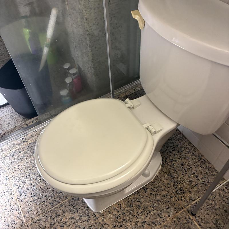 Toilet drain and base flange with new bolts installed