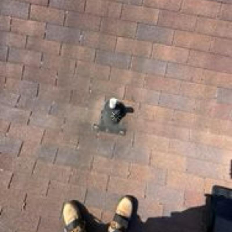 Roof shingles around plumbing vent pipe on residential roof