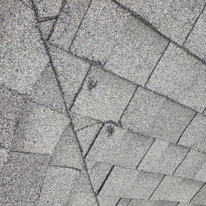 Roof shingles with sealed fasteners and painted accessories