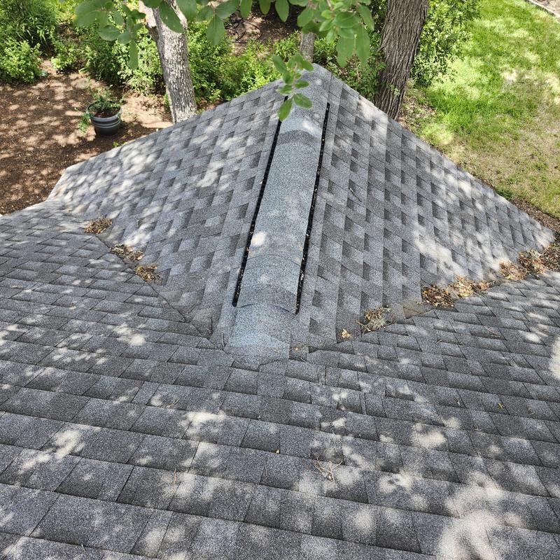 GAF HDZ Weatherwood shingle roof with cleared debris