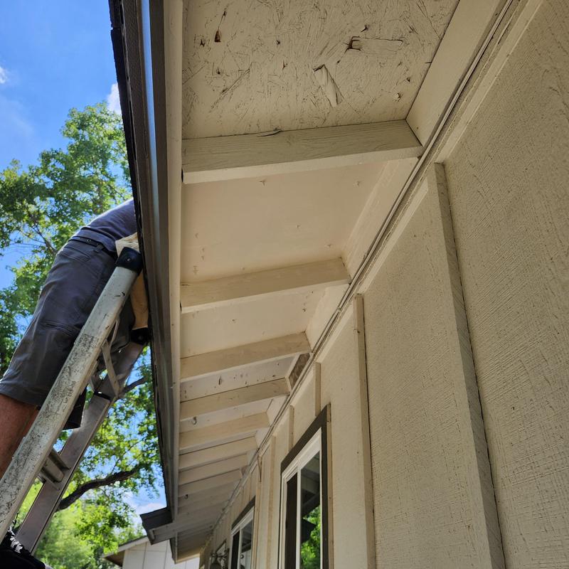 Soffit and fascia with ladder and worker above