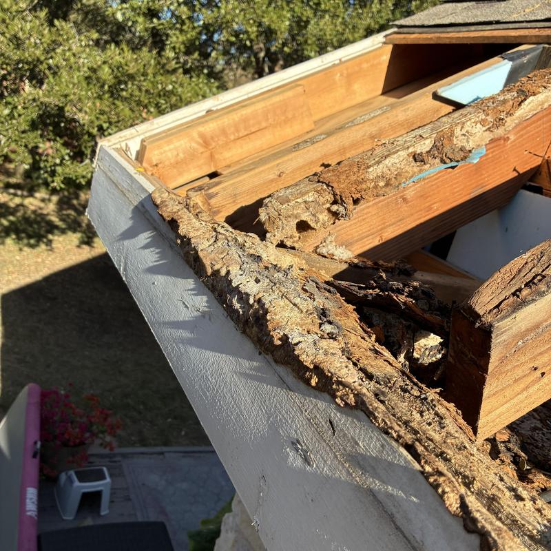 Soffit wood rot and structural damage on roof edge
