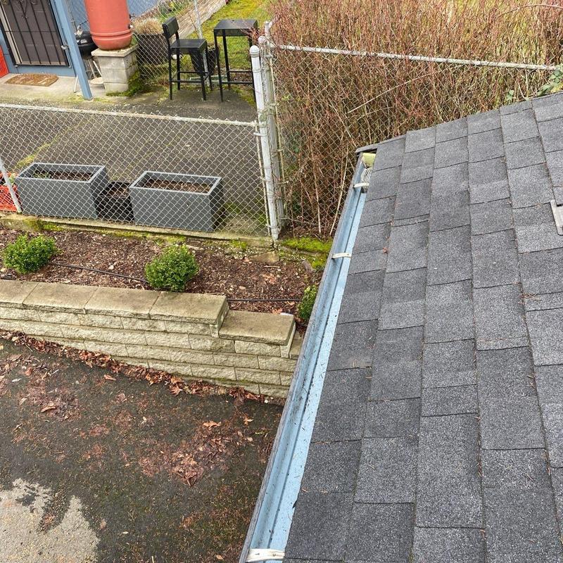 Gutter and roof edge debris removal and cleaning