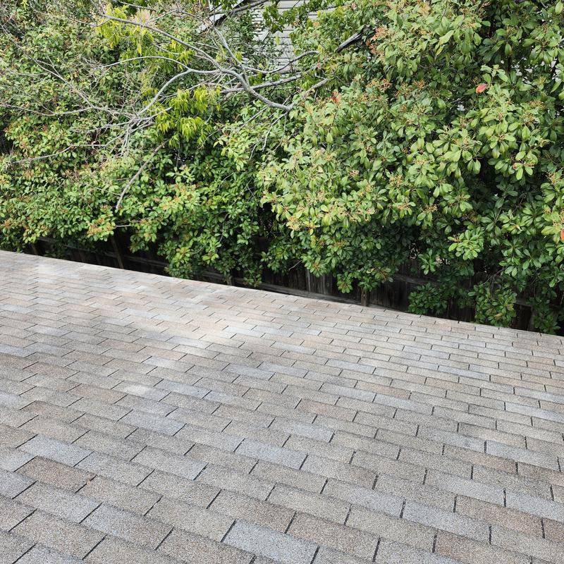 Roof shingles with tree branches trimmed back