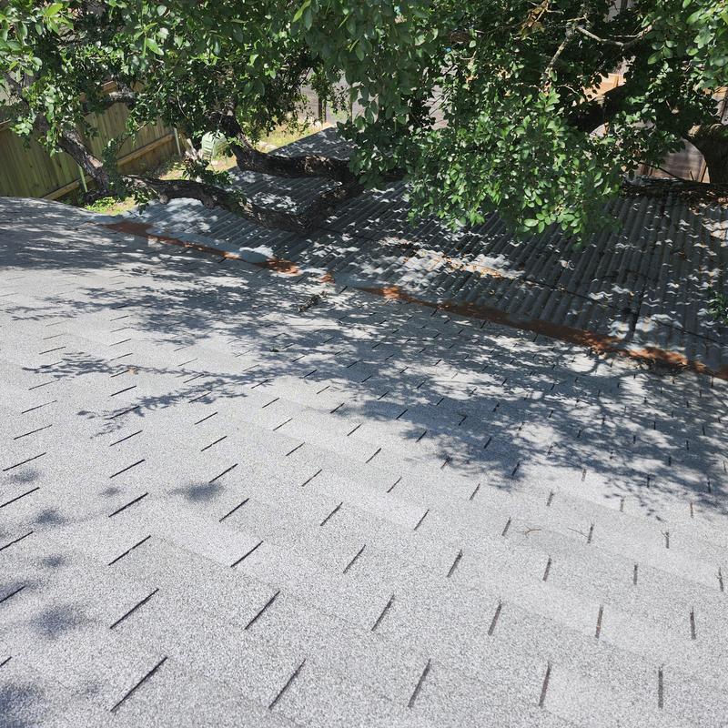 Asphalt shingle roof with trimmed overhanging tree branches