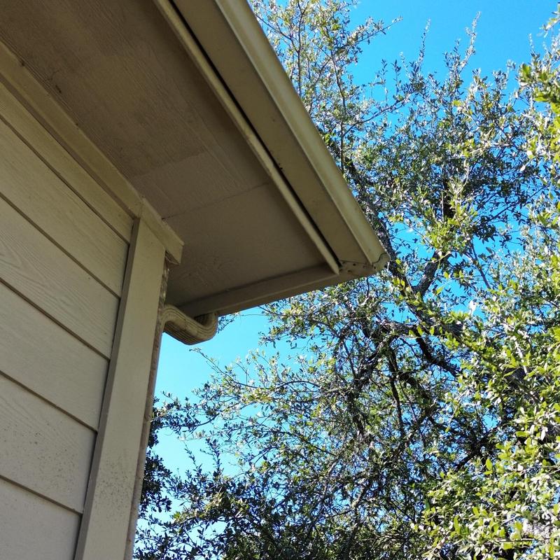 Fascia and soffit under eave with gutter and tree