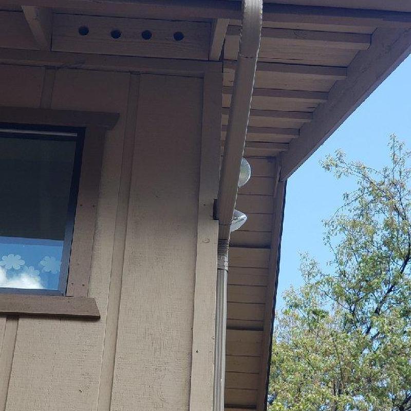 Steel seamless gutters with leaf blaster guards on house