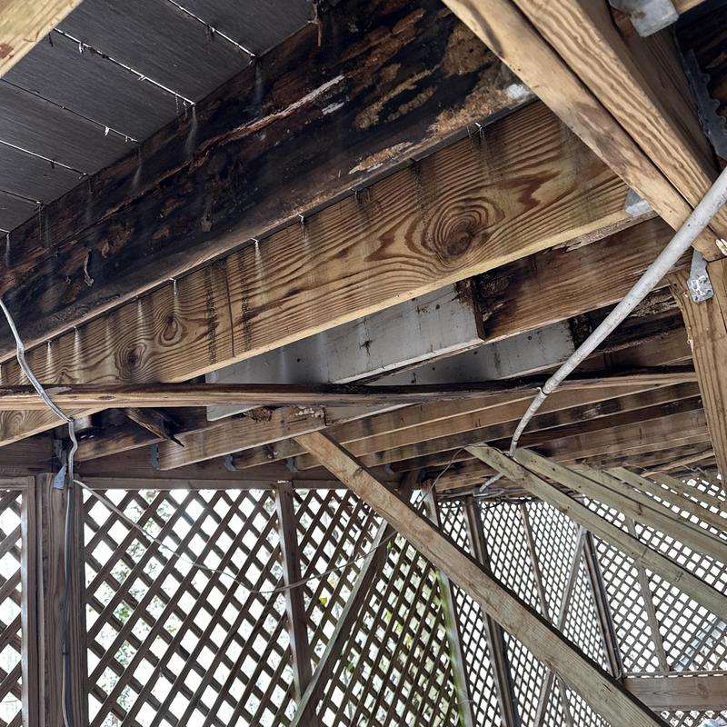 Damaged wooden joists and support beams under deck