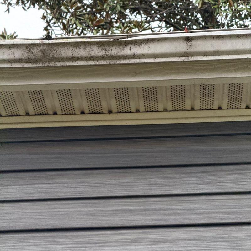 Soffit vent and gutter inspection with visible dirt buildup