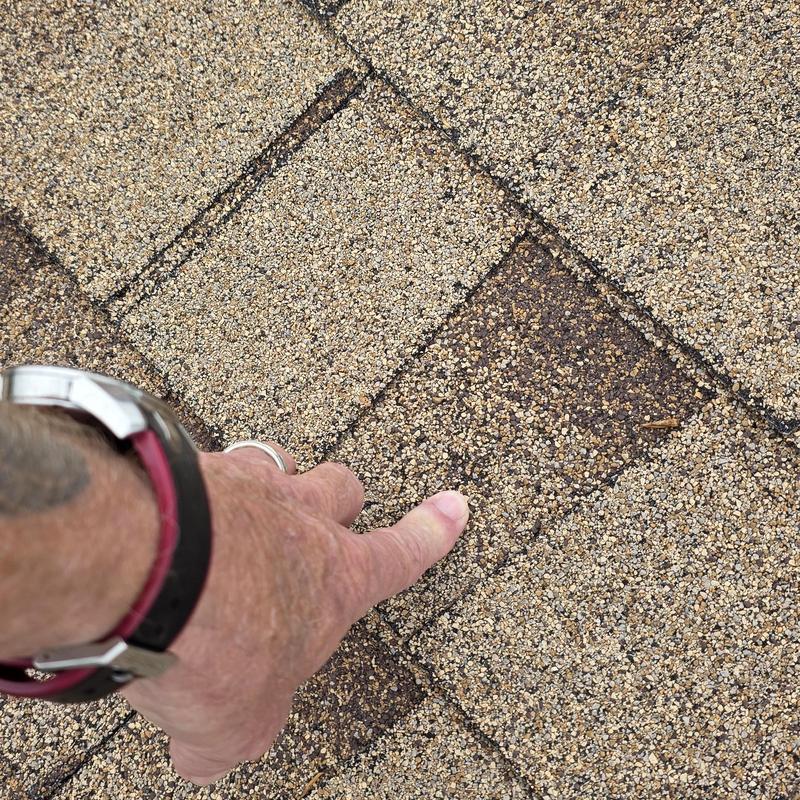 Asphalt roof shingles with hail damage inspection
