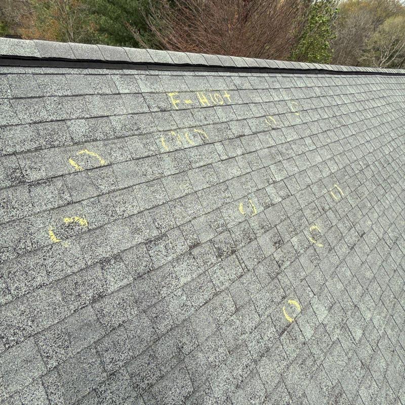 Asphalt shingle roof with hail damage markings