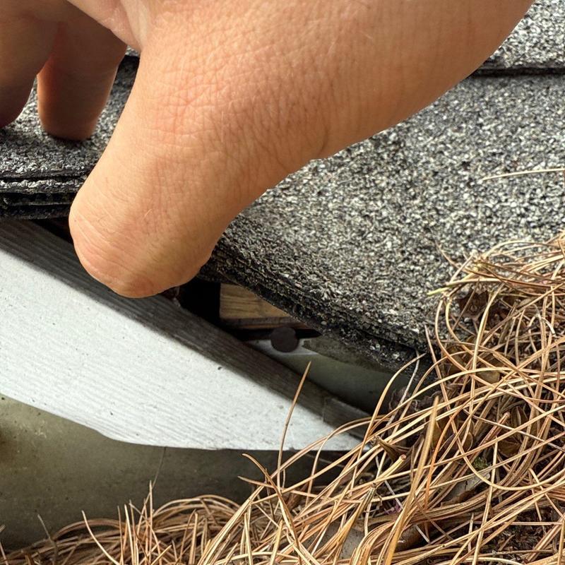 Roof shingles lifted to inspect underlying wood decking