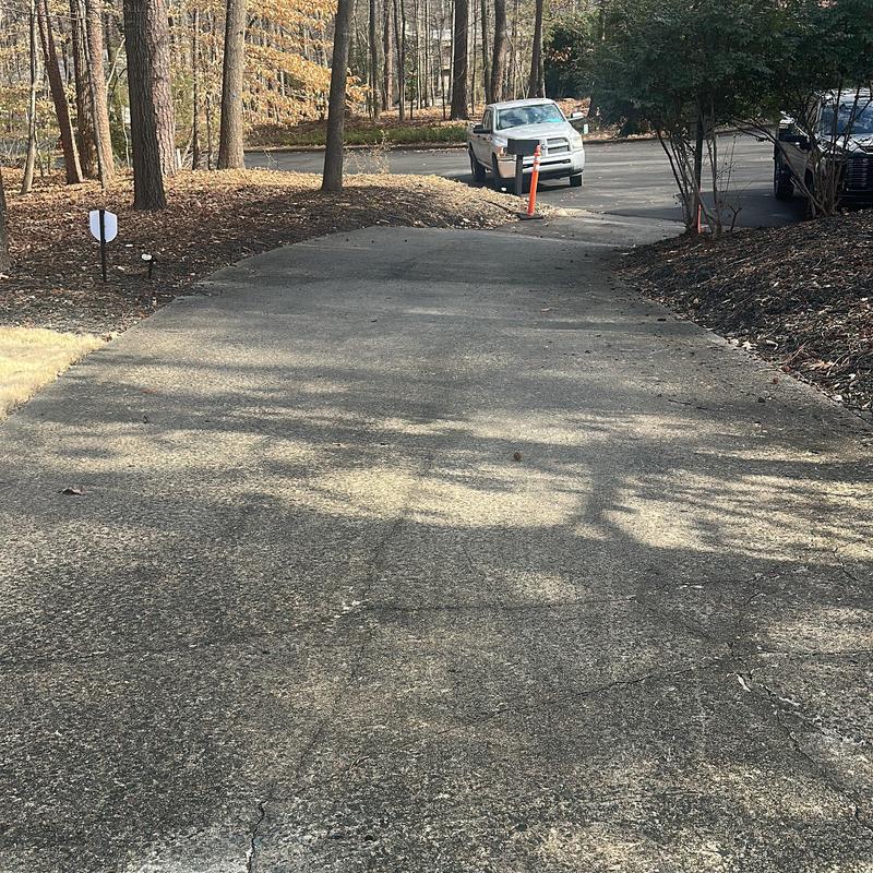 Concrete driveway with cracks and surrounding trees