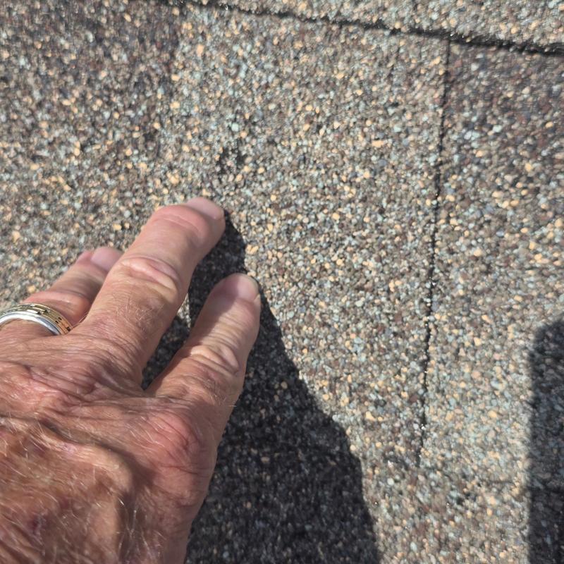 Asphalt shingle roof granule loss from wind and hail damage