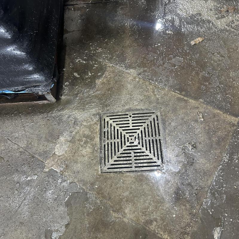 Sanitary floor drain with water on concrete floor