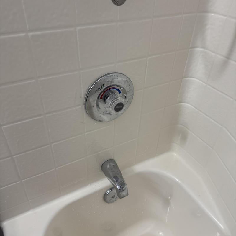 Delta shower valve and bathtub spout with calcium buildup
